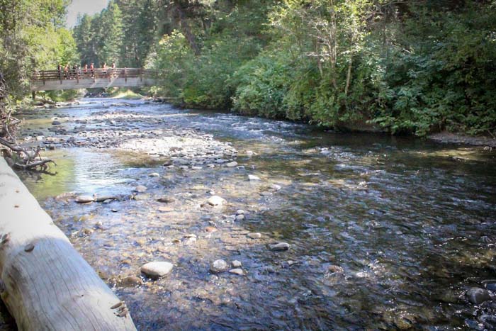 Catherine Creek winds through the state park outside of Union. Community members are invited to join Environment Oregon for a guided walk through Catherine Creek State Park on Aug. 1, 2025.
