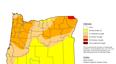 Oregon Gov. Tina Kotek declared a drought on Monday, Aug. 4, in Union and Morrow counties. (U.S. Drought Monitor/Contributed Graphic)