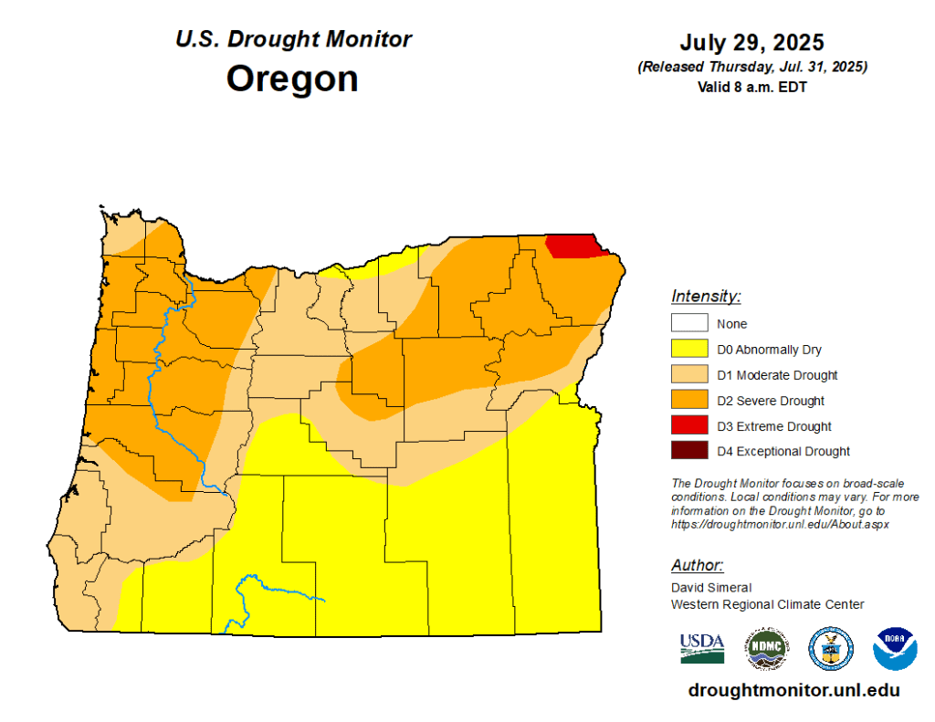 Oregon Gov. Tina Kotek declared a drought on Monday, Aug. 4, in Union and Morrow counties. (U.S. Drought Monitor/Contributed Graphic)