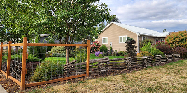 Jean Redd won the residential 2025 Fall Beautification Award from the La Grande Community Landscape and Forestry Commission for her yard at 1424 U Avenue. (La Grande Parks and Recreation/Contributed Photo).